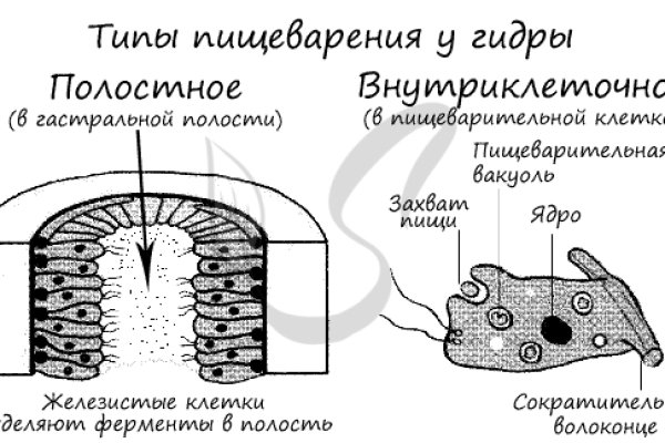 Онион ссылка блэкспрут bs2tor nl