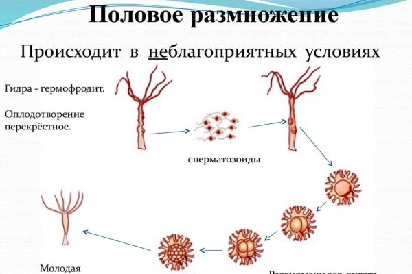 Блэк спрут магазин ссылка