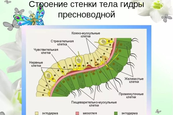 Bs gl зеркало blacksprut adress com