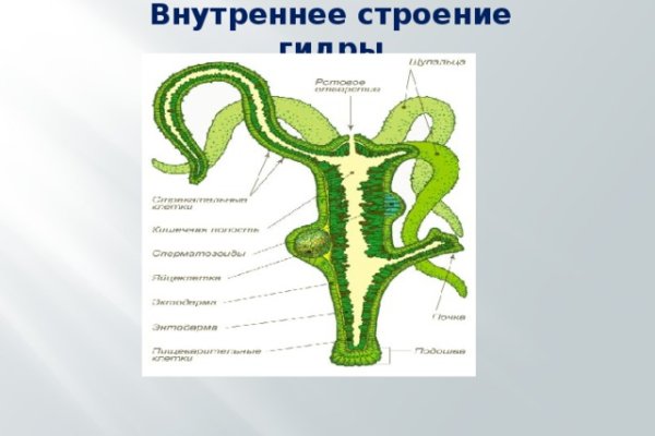 Блэк спрут зеркало bsconnect co