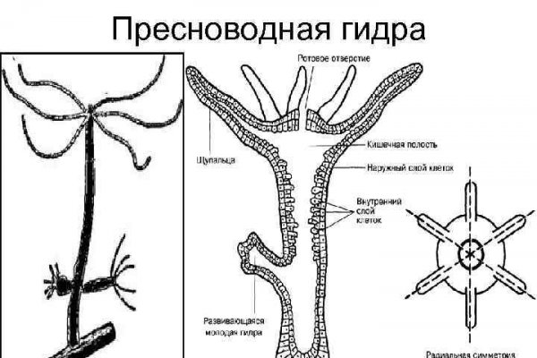 Ссылка блэкспрут torbazah