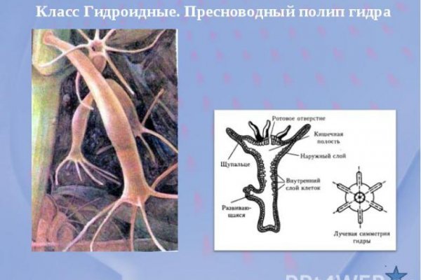 Ссылки онион даркнет аналог блэкспрут