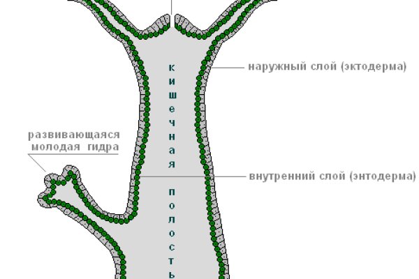 Ссылка blacksprut через tor